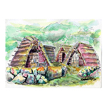Image0006